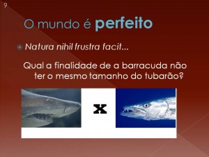 Por que o tubarão é grande e a barracuda é pequena? Para Aristóteles, tudo pode ser explicado pelas finalidades das partes de uma natureza perfeita.